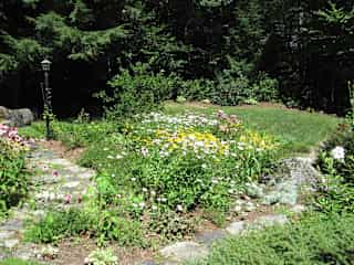 Flower garden summer