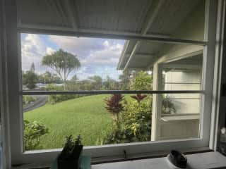 View out kitchen window with distant ocean view.