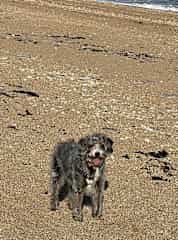 Come on chase me!