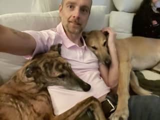 Affectionate hugs from greyhound rescues, Coda and Sam