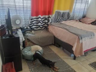 One of Max's beds