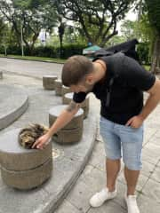 All around the world Chris finds a cat