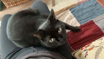 Lap time love