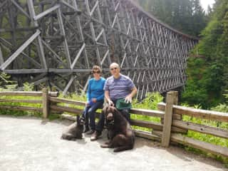 Levi  and Fergus on a walk across the Kinsol Trestle Vancouver Island.