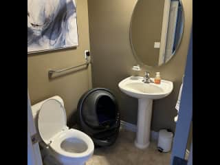 Downstairs bathroom (and litter robot)