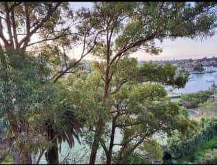 View from balcony