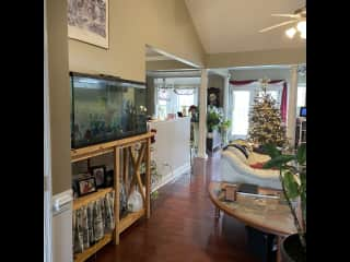 Living room, viewed from foyer