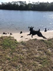 Ellie Mae at her favorite spot by the water.