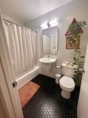Guest bathroom
