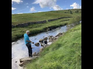 Exploring the Yorkshire Dales during a recent sit for lovely Hamish