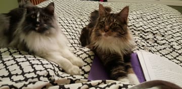 Hemlock and his half brother, Lestat