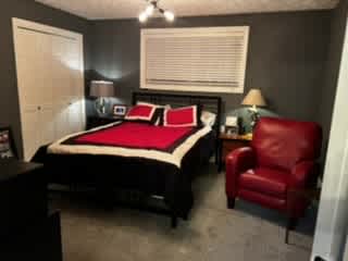 Lower level guest bedroom with adjoining bath