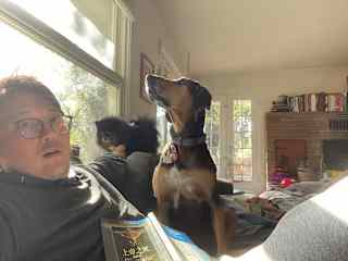 Tina, the hound dog, requested for attention.