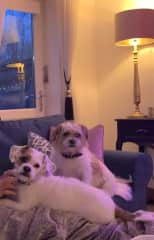 Betty & Ruby ❤️