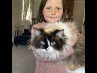 Over the years we have looked after countless indoor and outdoor cats. We always take our time with them, allowing them to lead the way with how much attention they want.