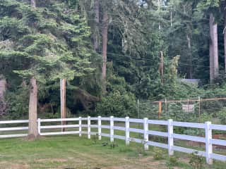 Fenced yard