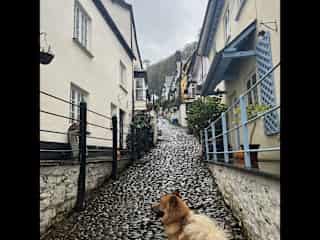 Jack in Clovelly - my adventure buddy!
