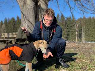Dog sitting in the German mountains