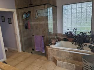 Master Bathroom with shower and tub