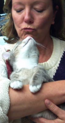 House sitter profile