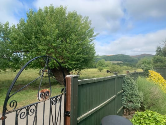 House Sit For Alex In Castlemorton United Kingdom Trustedhousesitters Com