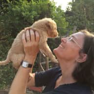 Profile image for pet sitters Katharina & Israel