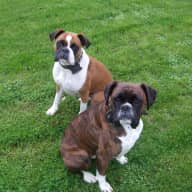 Profile image for pet sitters Sharon & Pat
