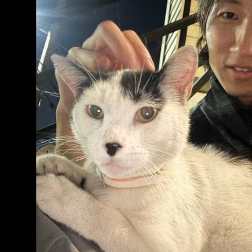 Profile image for pet sitter Katsuhiko