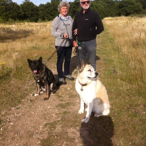 Profile image for pet sitters Ellen and Jim & James