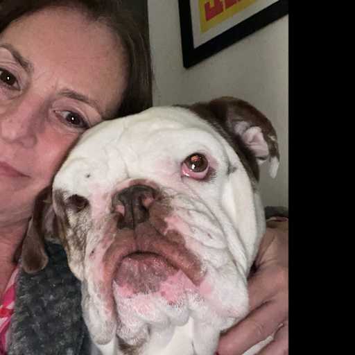 Profile image for pet sitter Morwen