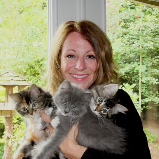 Profile image for pet sitter Samantha