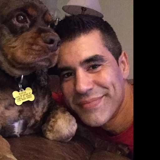 Profile image for pet sitter David