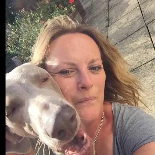 Profile image for pet sitter Annabel