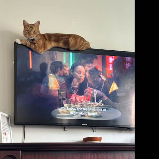 Profile image for pet sitter Salma