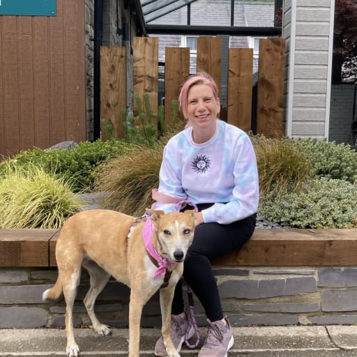 Profile image for pet sitter clare