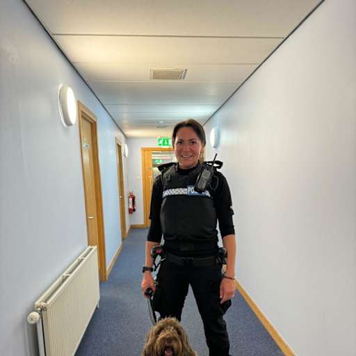 Profile image for pet sitter Maree