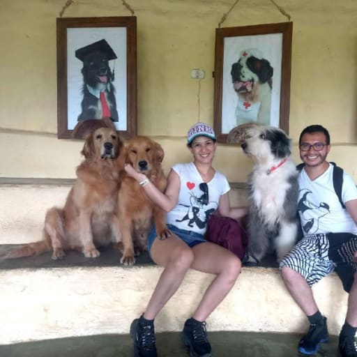 Profile image for pet sitters Fabian Felipe & Jackeline