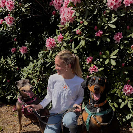 Profile image for pet sitter Paris
