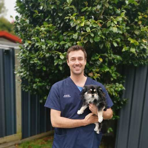 Profile image for pet sitter Jasper Johannes