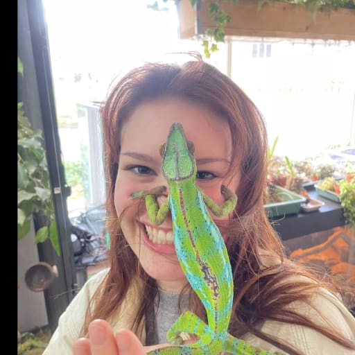 Profile image for pet sitter Rachel