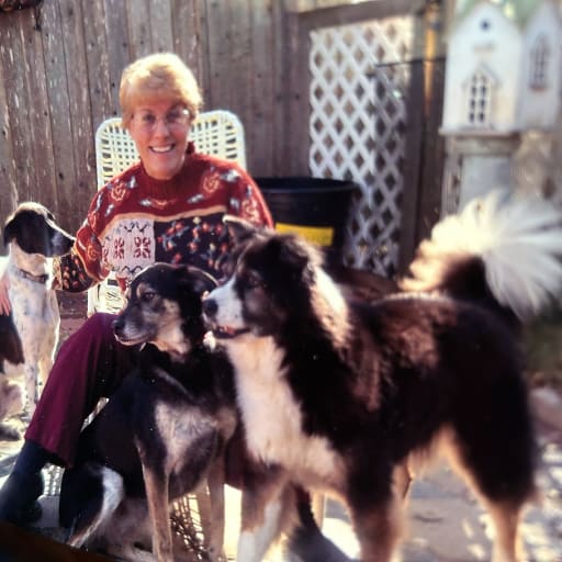 Profile image for pet sitter Virginia