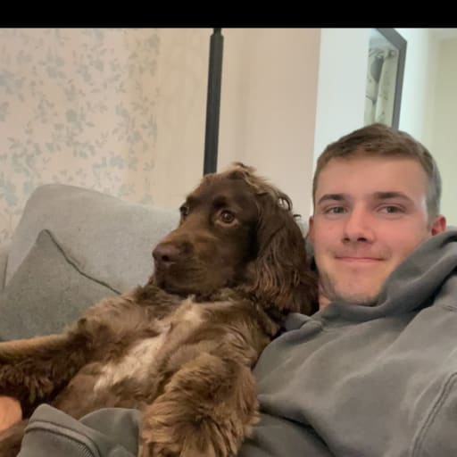 Profile image for pet sitter Kian