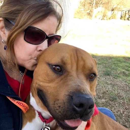 Profile image for pet sitter Bobbi