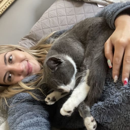 Profile image for pet sitters Amanda & Talles Alexandre 