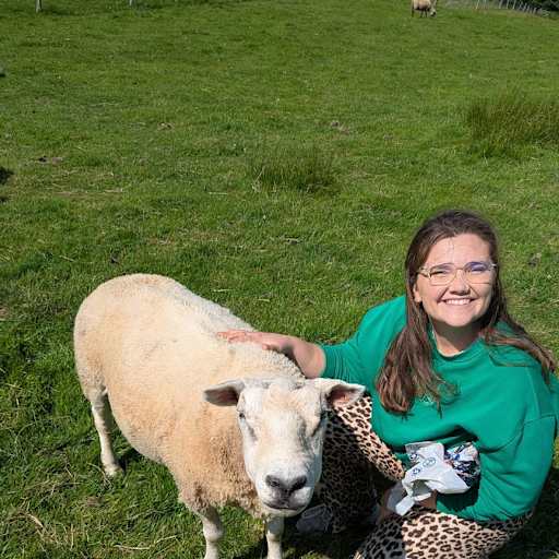 Profile image for pet sitter rosie