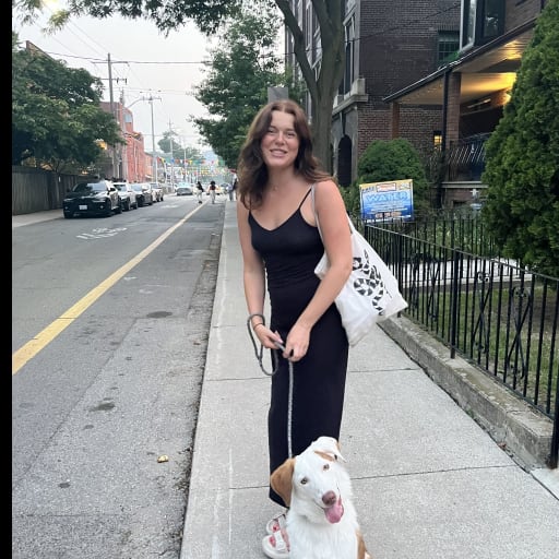 Profile image for pet sitter Daisy