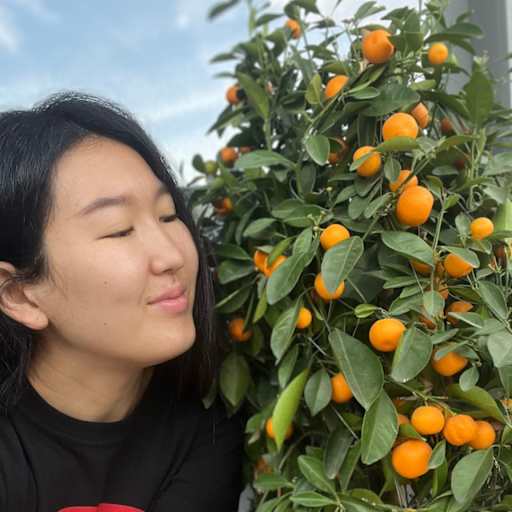 Profile image for pet sitter Manshuk