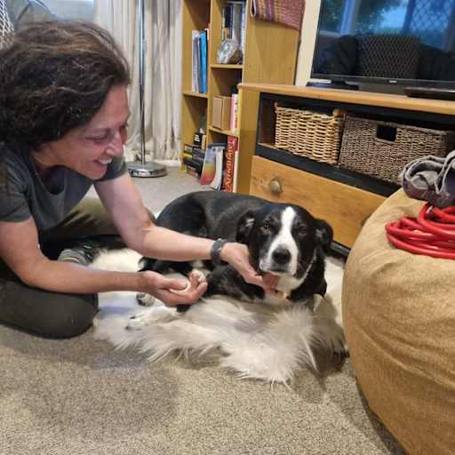 Profile image for pet sitter Sandra Vivian