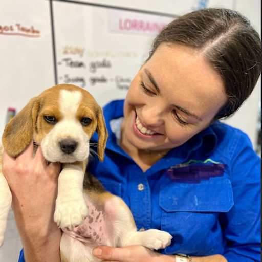 Profile image for pet sitter Grace