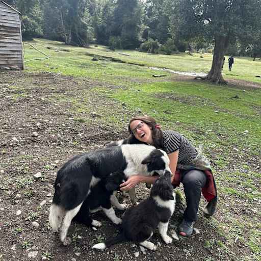 Profile image for pet sitter Virginia